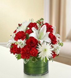 Cherished Memories<br>Red and White Davis Floral Clayton Indiana from Davis Floral